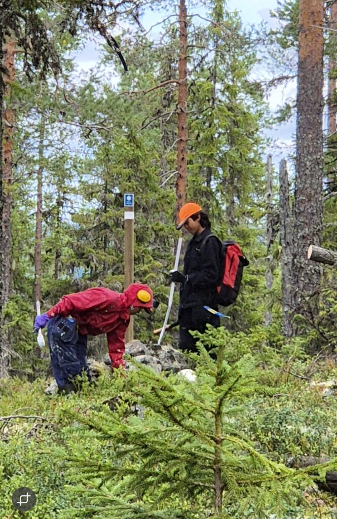 Fastighetsgränser och rå stenar.