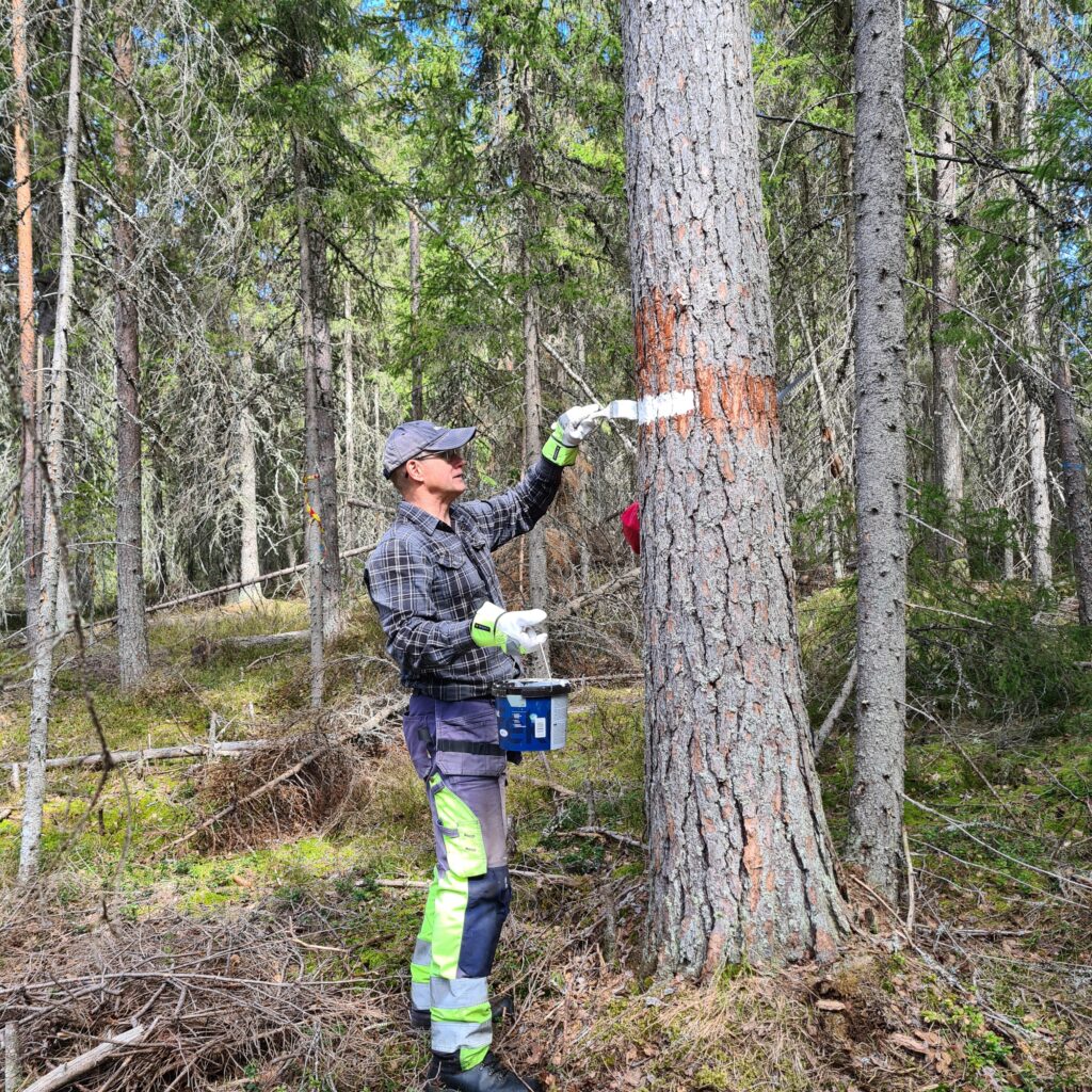 Noggrann uppmålning av områdes skydd.